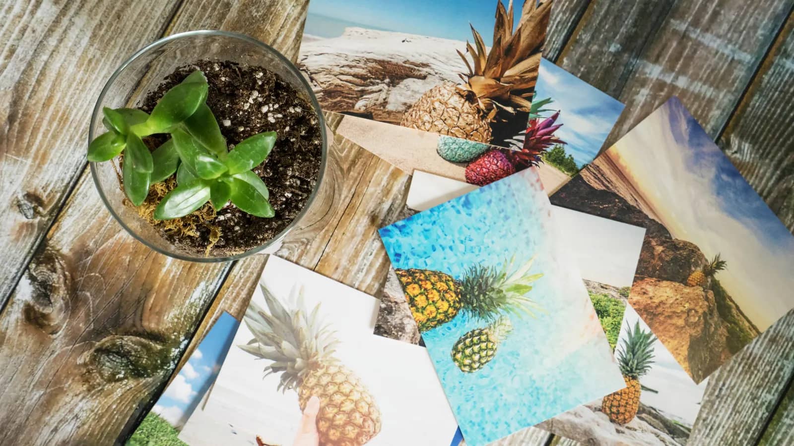 Tirages photo étalés sur une table en bois, à côté d’une plante en pot