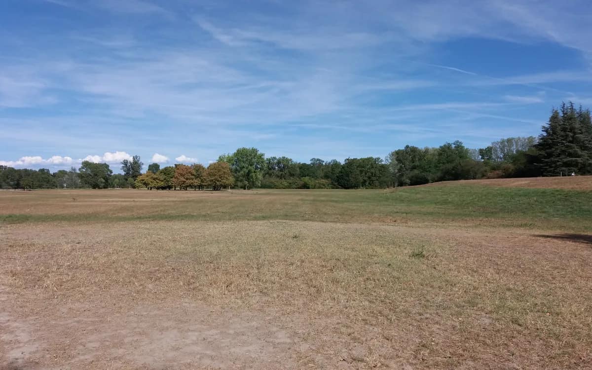 A wide open lawn lined with trees, under a blue sky, at the Grand Parc de Miribel-Jonage