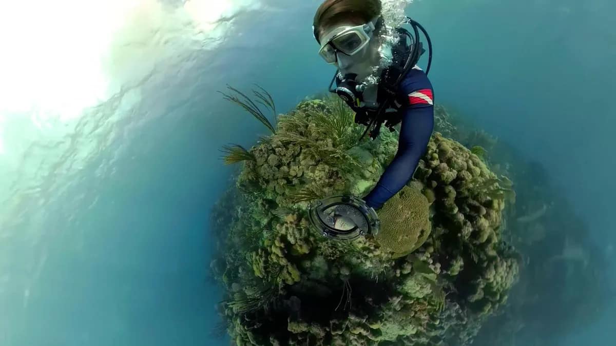 Filmer sous l'eau : guide complet avec GoPro et caisson étanche – Fox Rider