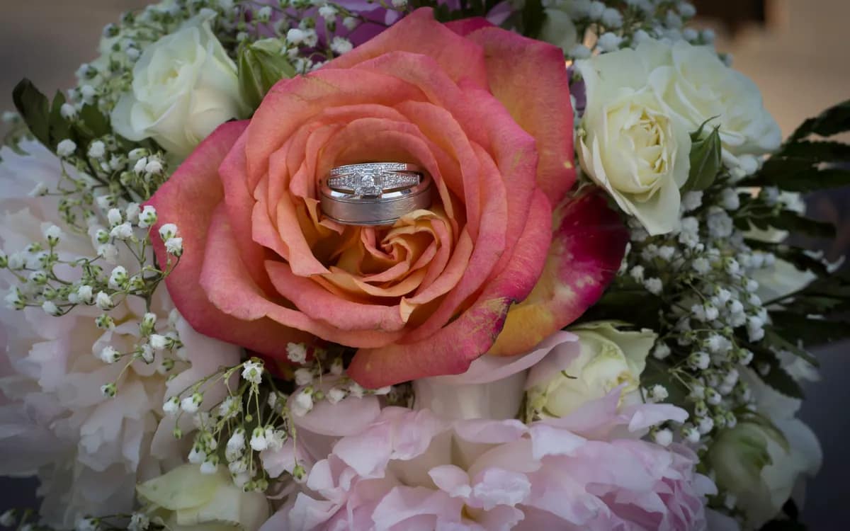 Deux alliances posées au cœur d’une rose, dans un bouquet de mariée