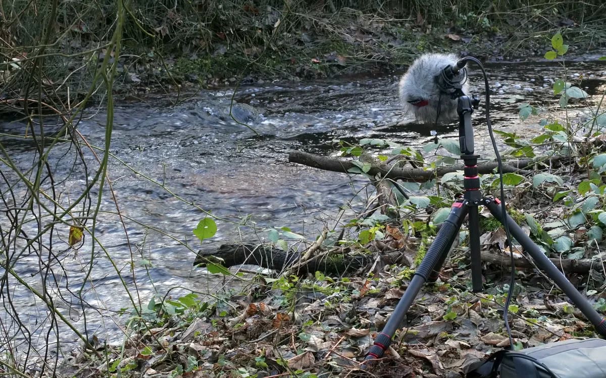 Preneur de son au casque, penché sur son enregistreur de terrain, devant une barrière jaune en lisière de forêt