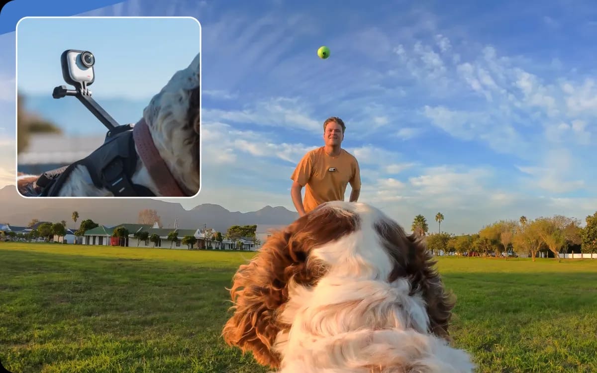 Caméra 360 fixée sur le harnais d’un chien : le genre de plan qu’un essai réel révèle