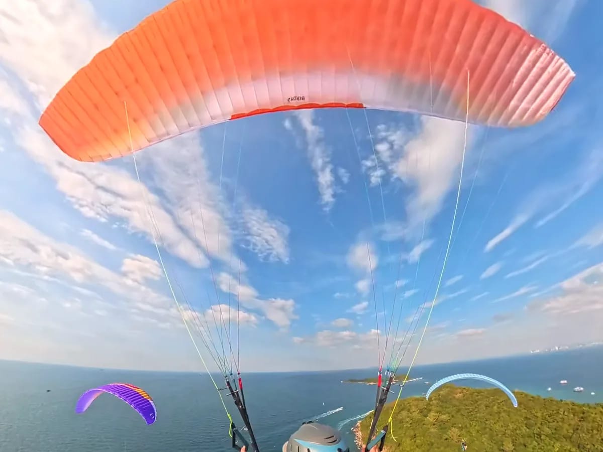 Parapentiste vu de dos en vol au-dessus d’une côte boisée et d’une mer turquoise