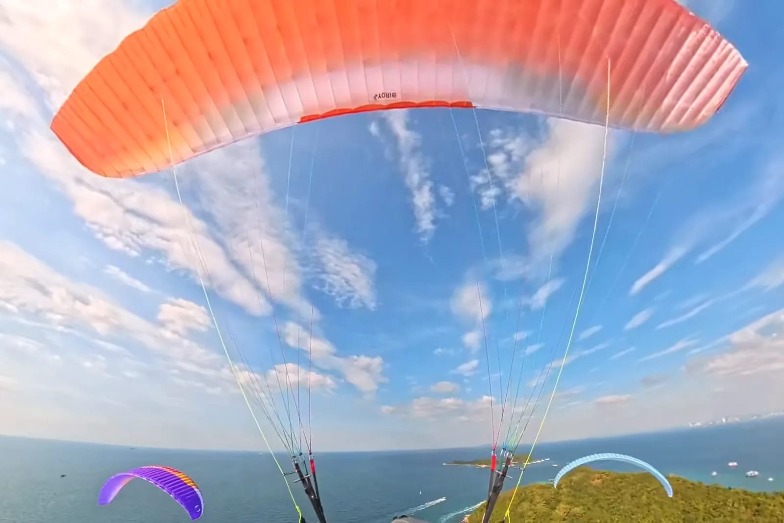 Paraglider seen from behind, flying above a wooded coastline and turquoise sea