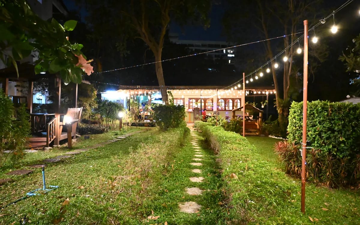 A garden at night, lit by a string of bulbs stretched above a stone path