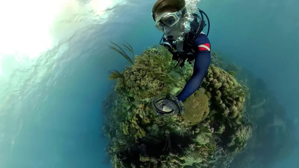 Onder water filmen: complete gids met GoPro en waterdichte behuizing – Fox Rider