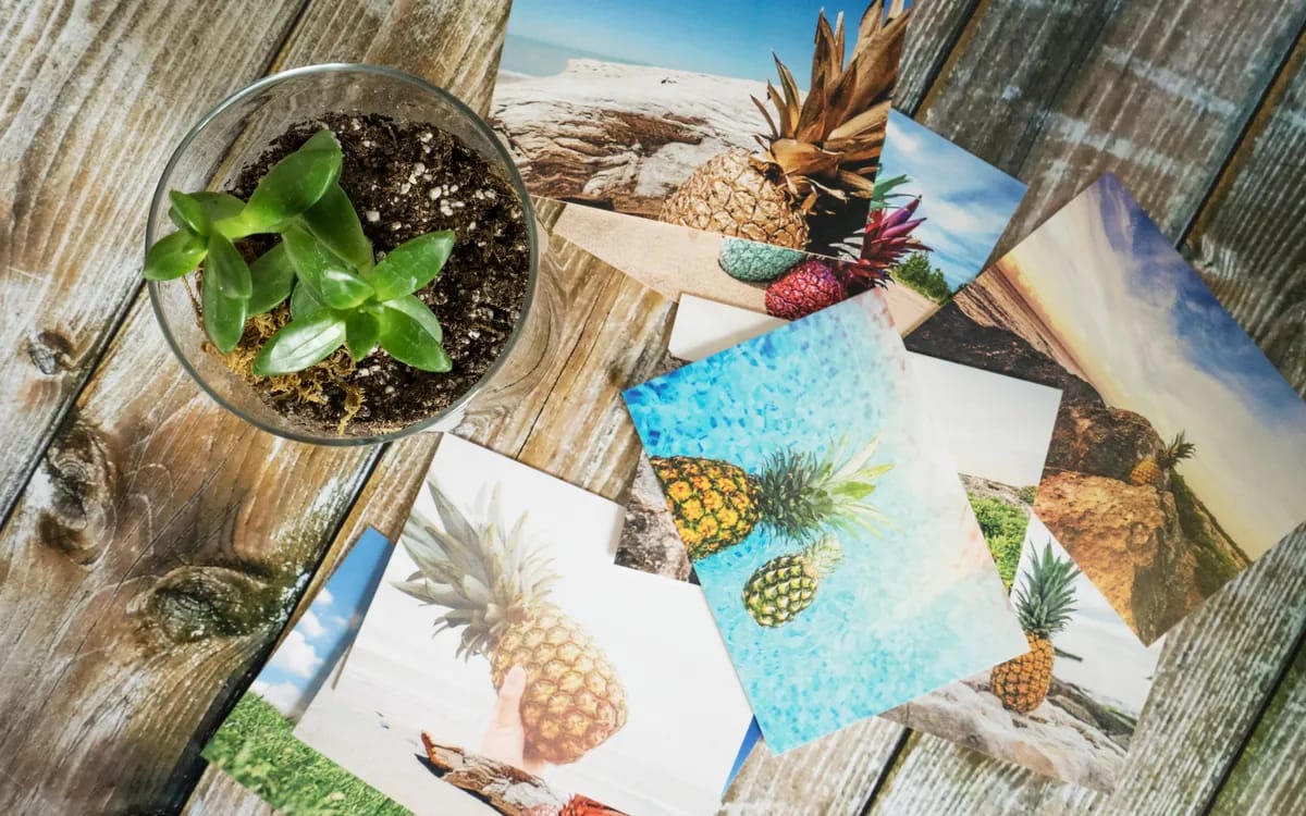 Photo prints spread out on a wooden table, around a small plant