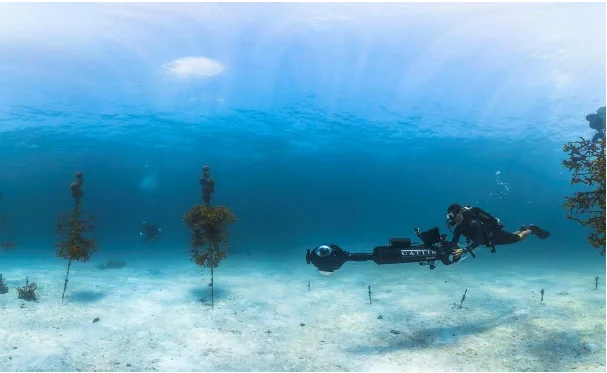 Filmar debaixo de água: guia completo com GoPro e caixa à prova de água