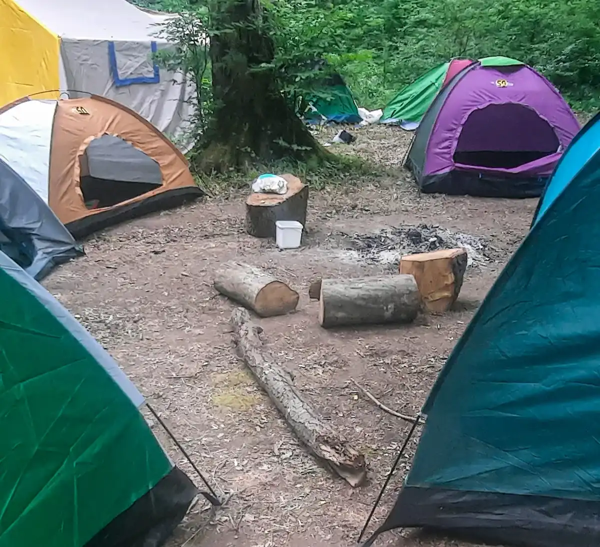 Tendas de campismo coloridas montadas entre árvores no local de um festival