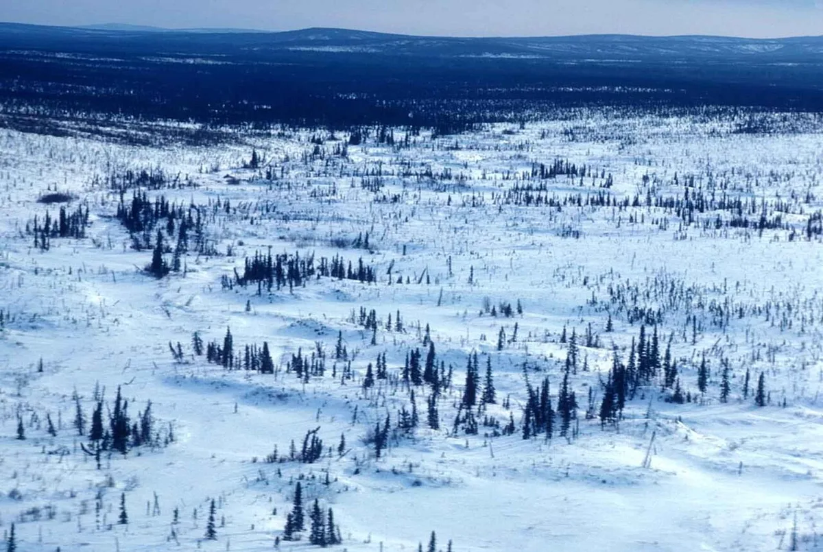 Photographier en drone : 7 compositions aériennes à maîtriser