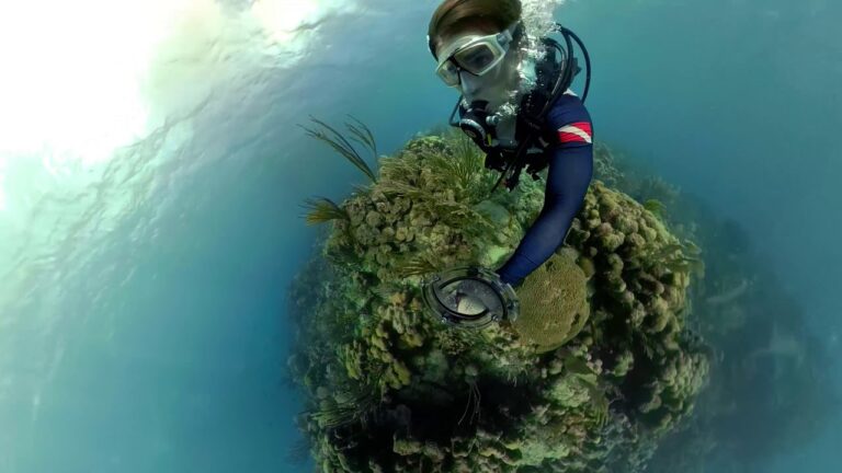 Filmer sous l&rsquo;eau : guide complet avec GoPro et caisson étanche