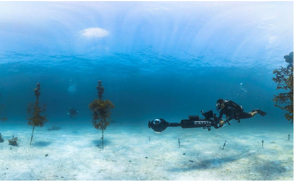 Filmer sous l&rsquo;eau : guide complet avec GoPro et caisson étanche